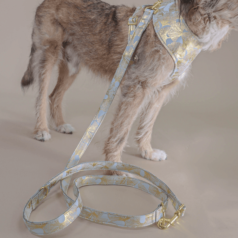 EDEN DUSK leash