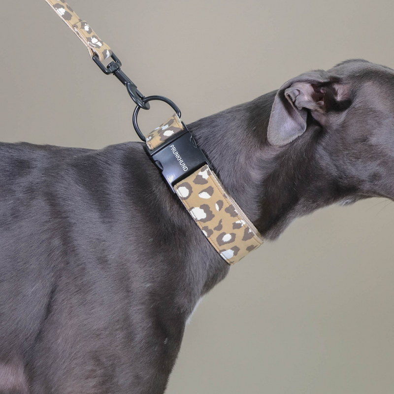 Leash ROAR