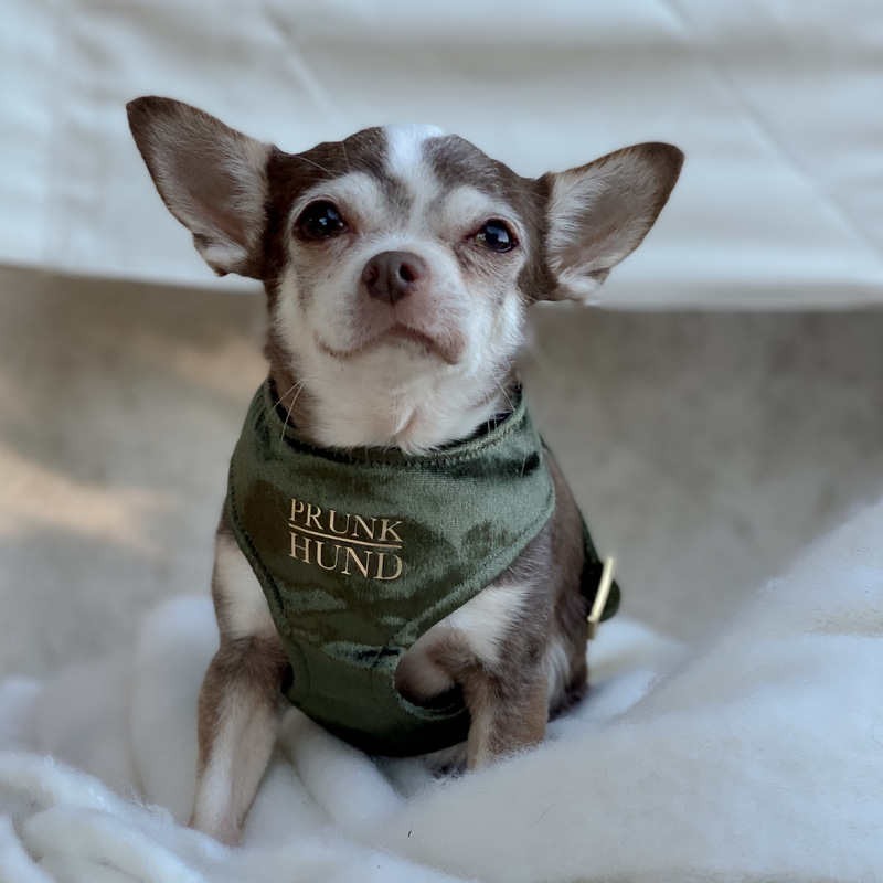 MOSS soft harness