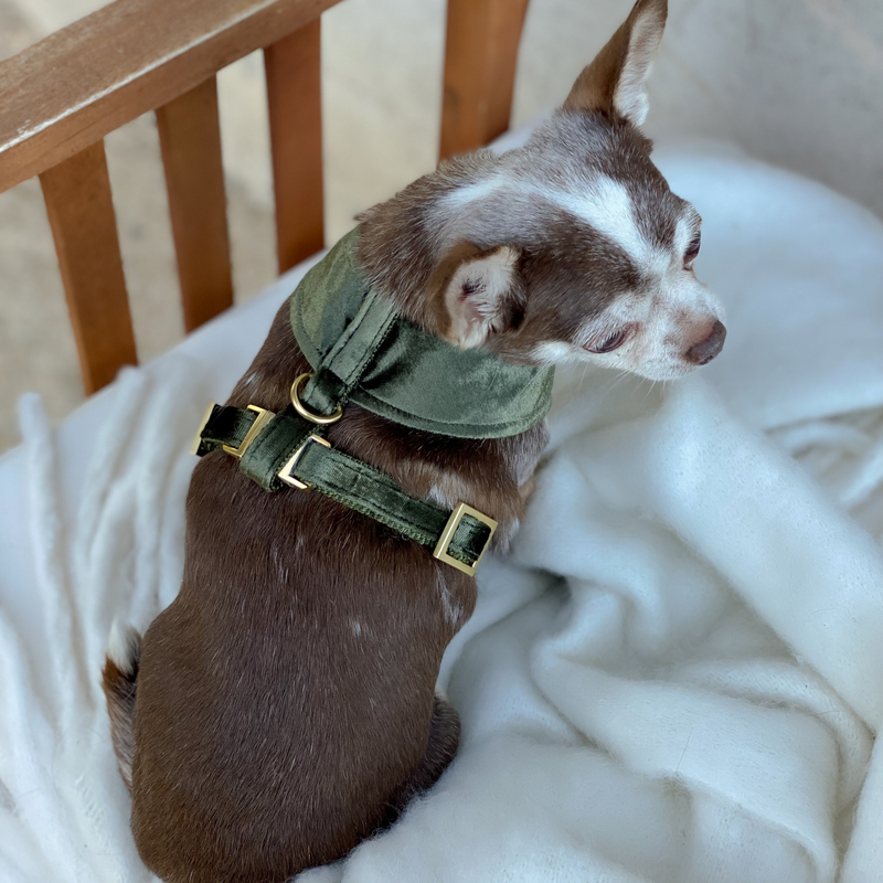 MOSS soft harness