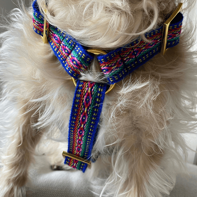 Dog harness IBIZA blue