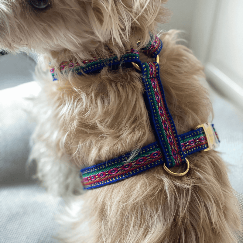 Dog harness IBIZA blue