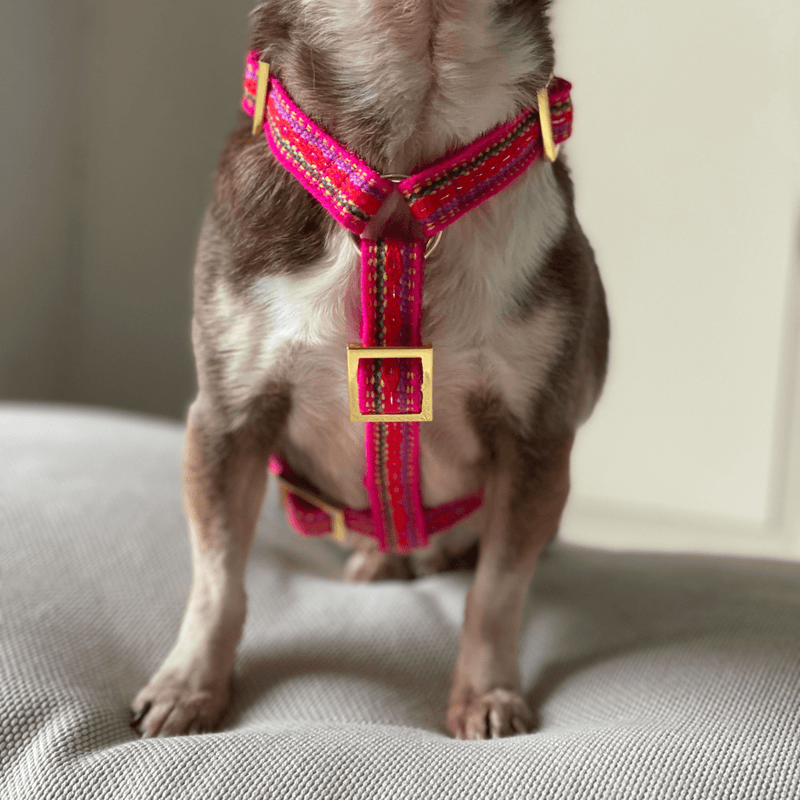 Dog harness IBIZA pink