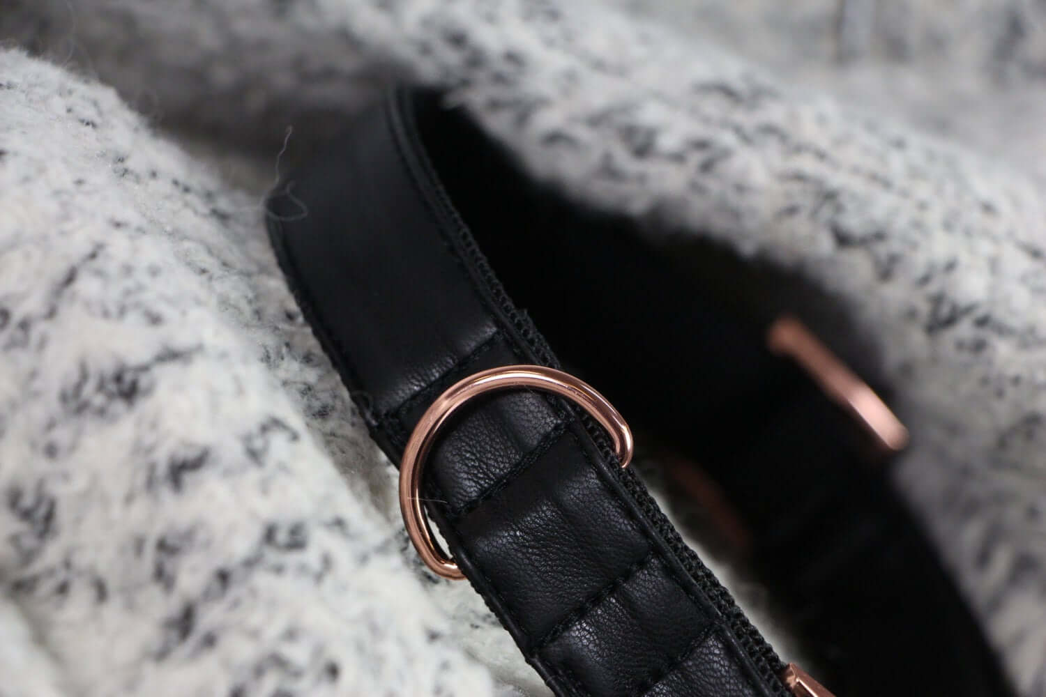 ECLIPSE collar
