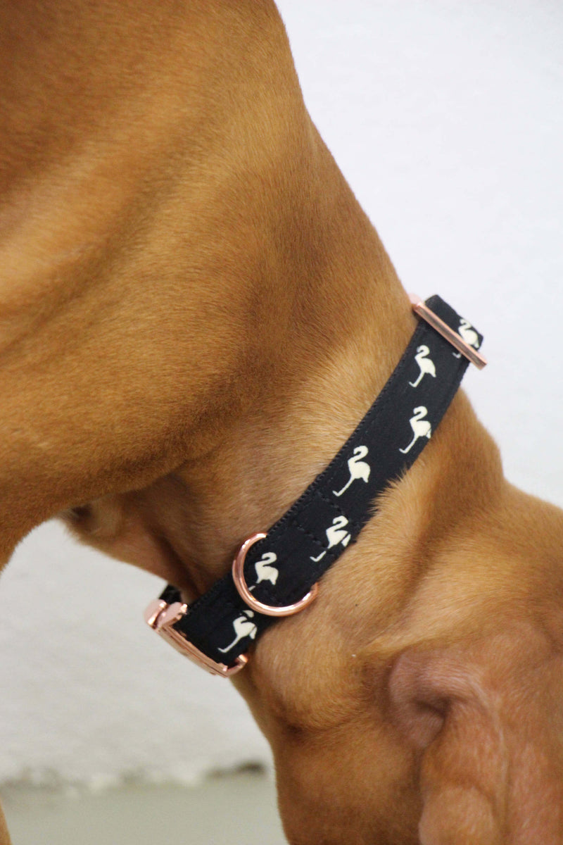 Halsband FLAMINGO black.