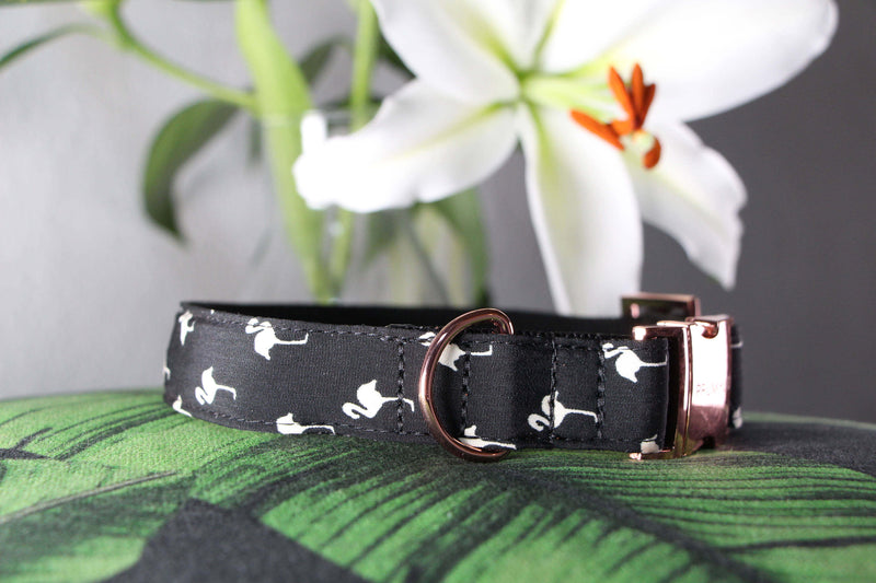 Halsband FLAMINGO black.