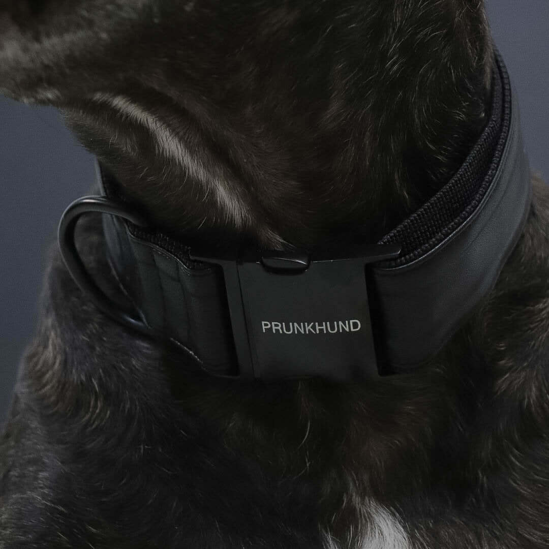 DARK collar