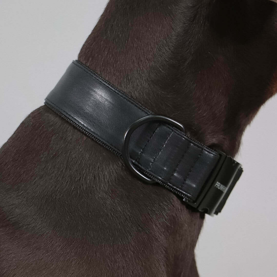 DARK collar