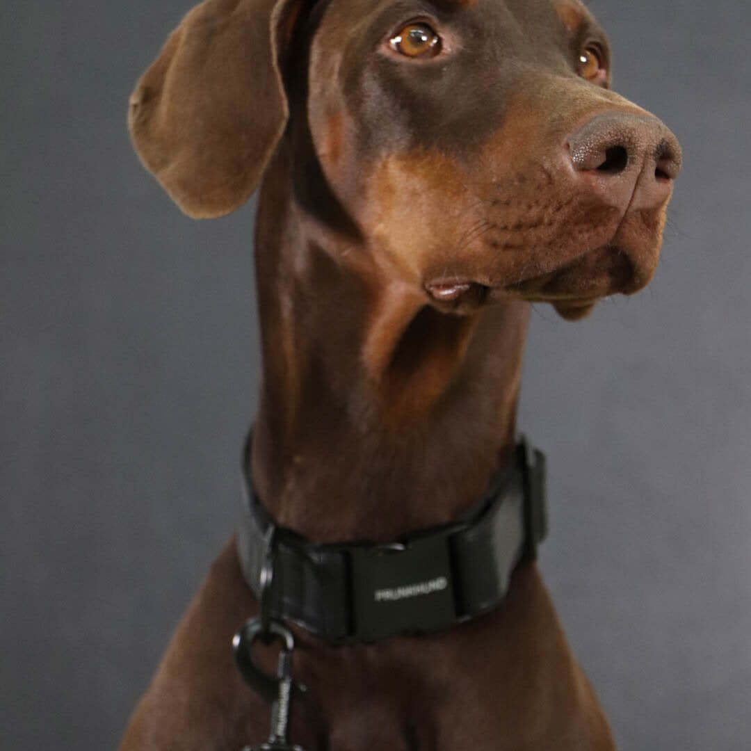 DARK collar