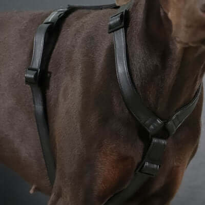 dog harness DARK