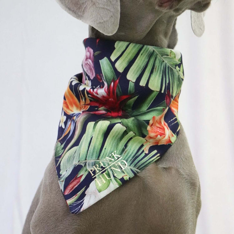 Dog bandana TROPICAL GARDEN