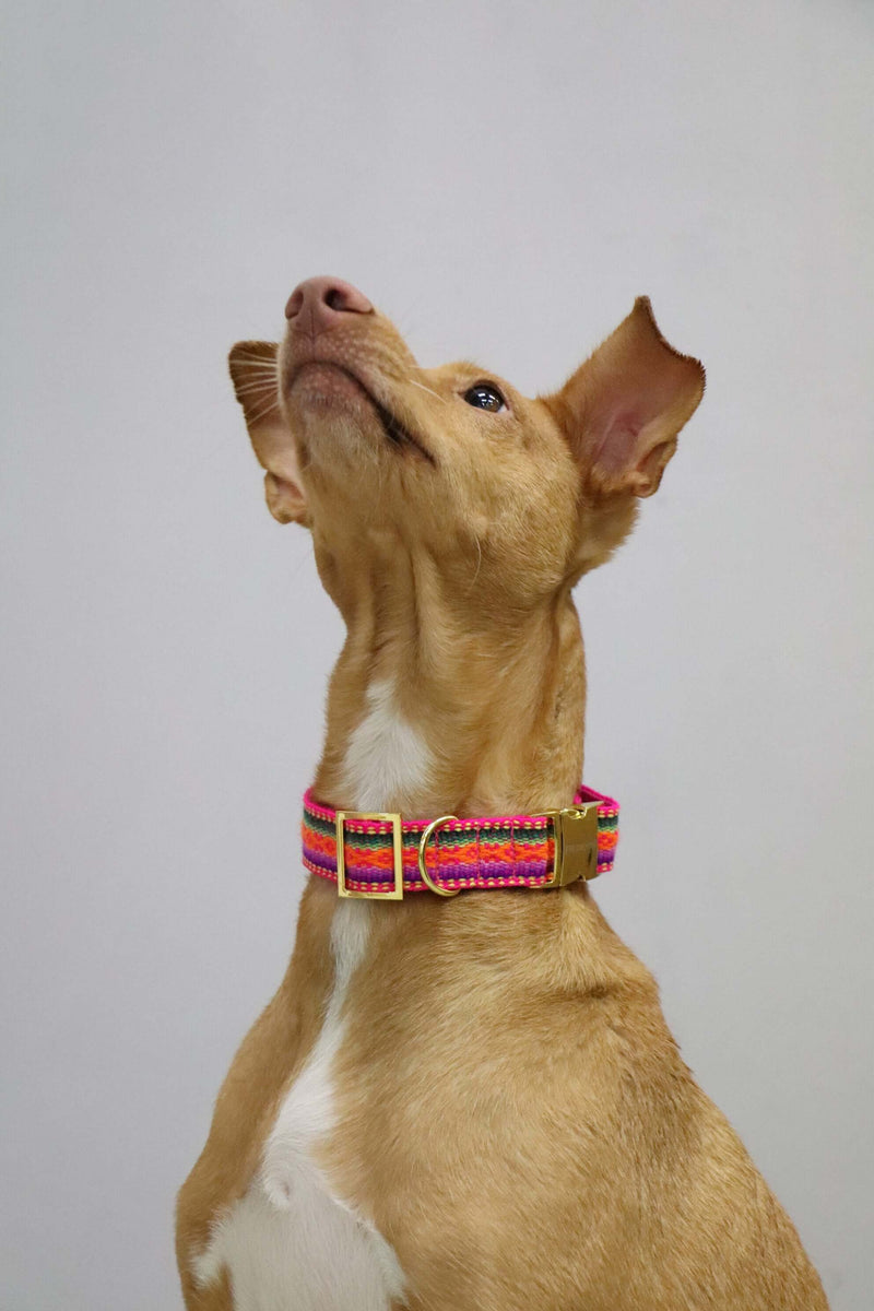Collar IBIZA pink