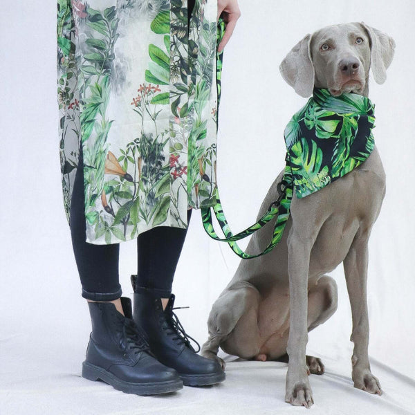 Hundehalstuch JUNGLE FEVER
