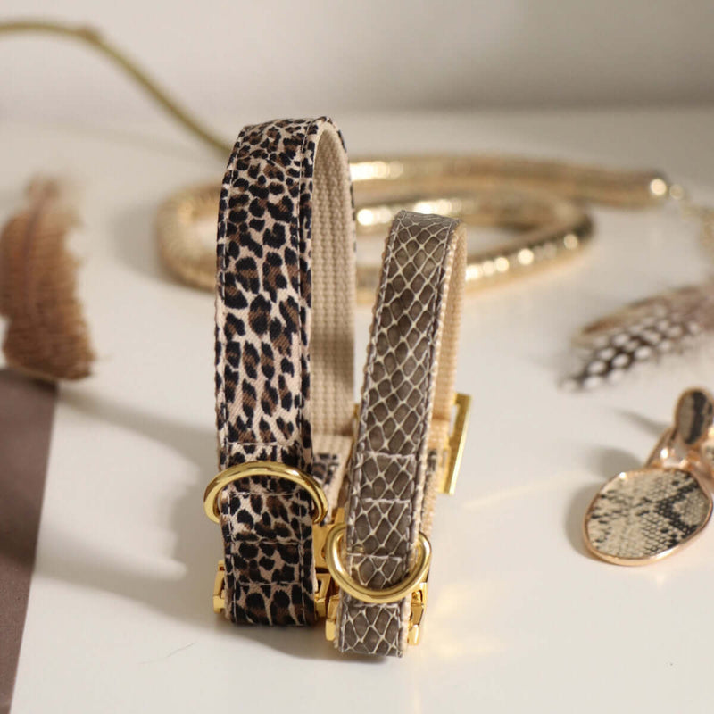 Dog collar WILD LIFE