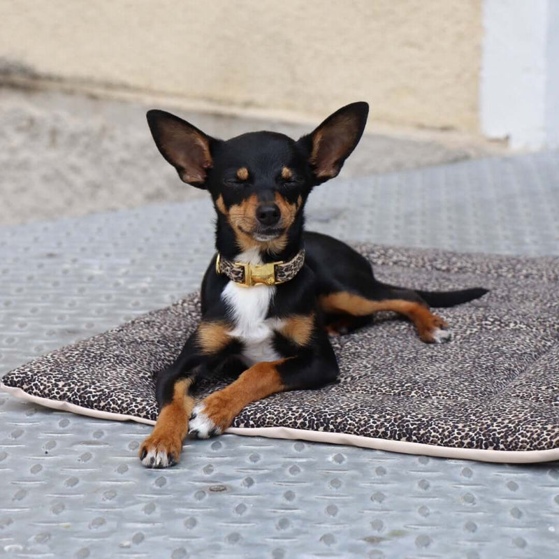 WILD LIFE dog blanket