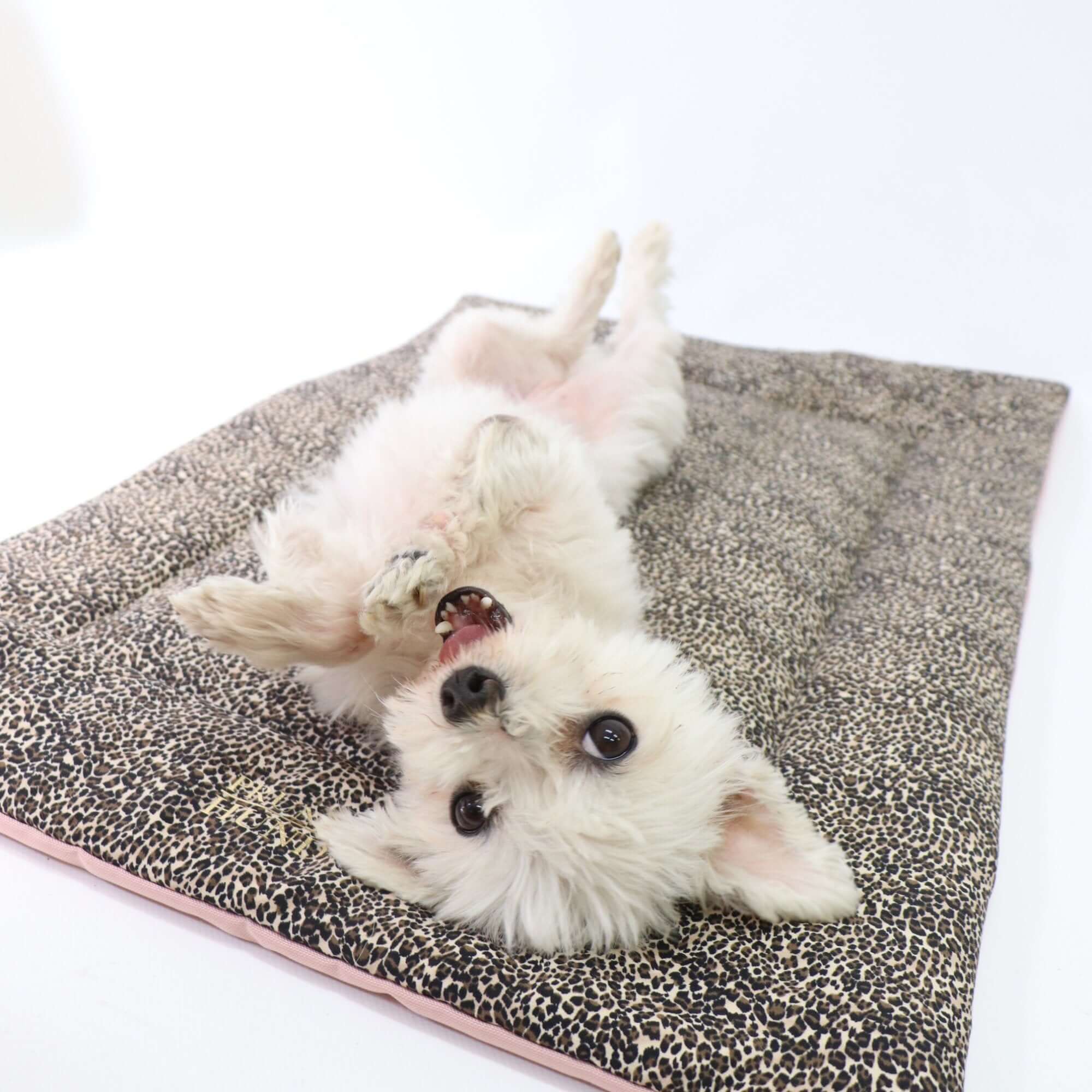 WILD LIFE dog blanket