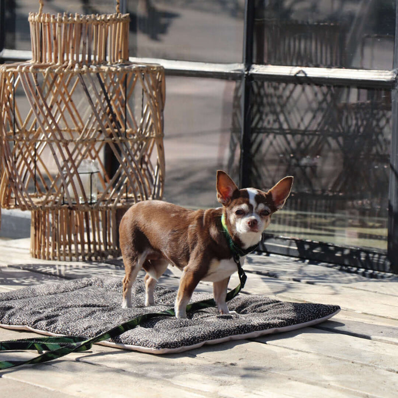 WILD LIFE dog blanket