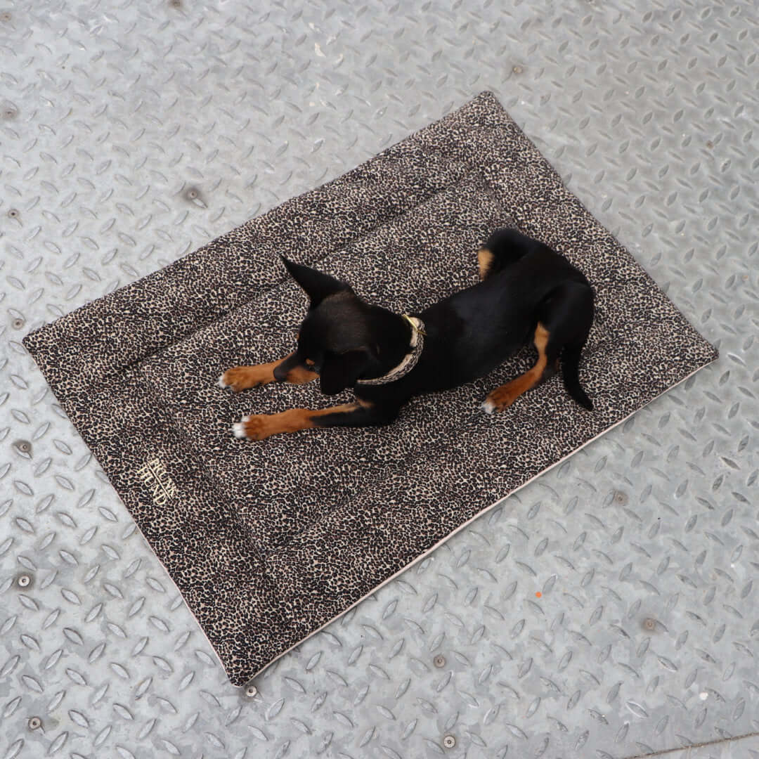 WILD LIFE dog blanket