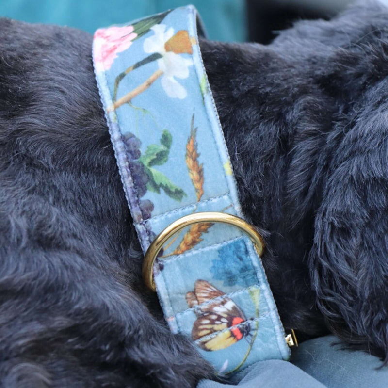 EDEN DUSK collar
