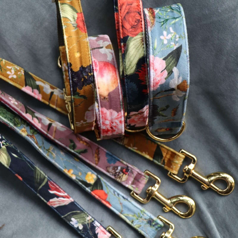 EDEN DUSK collar