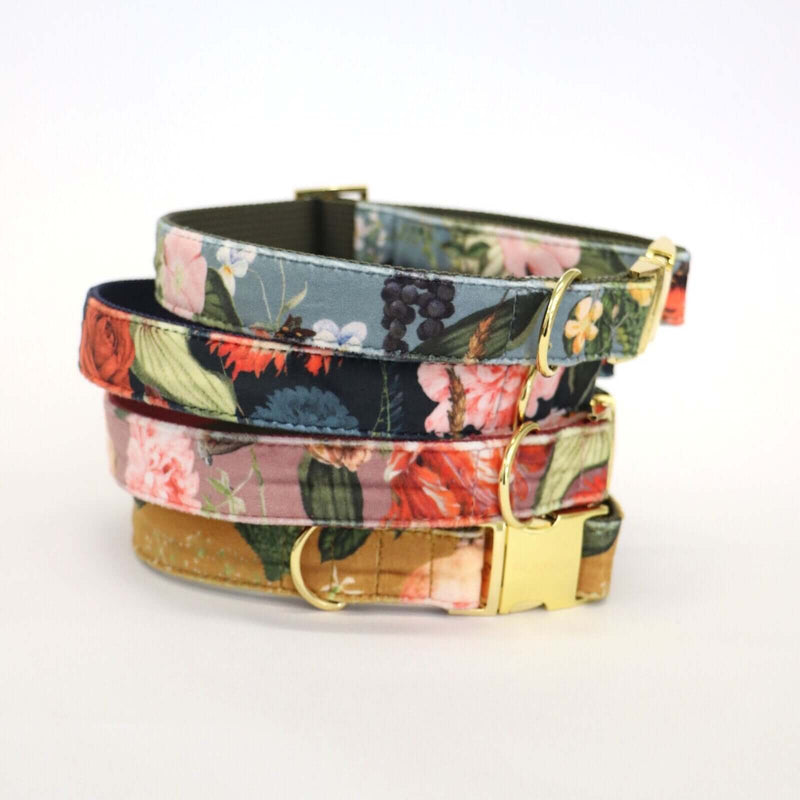 EDEN DUSK collar