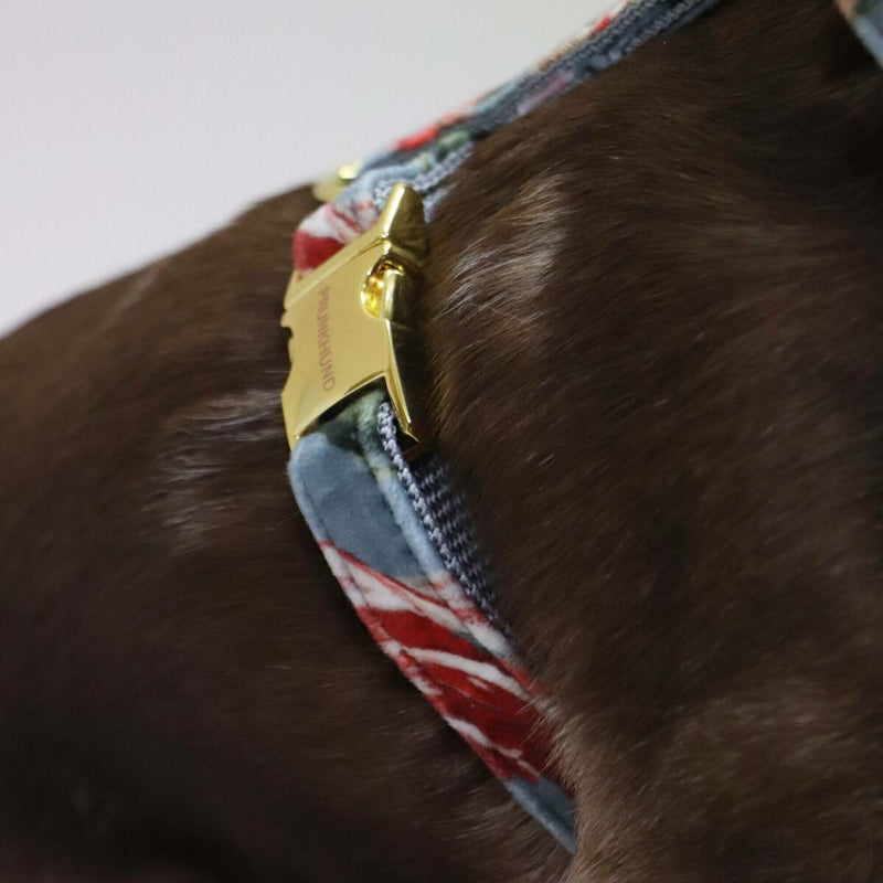 Dog harness EDEN DUSK