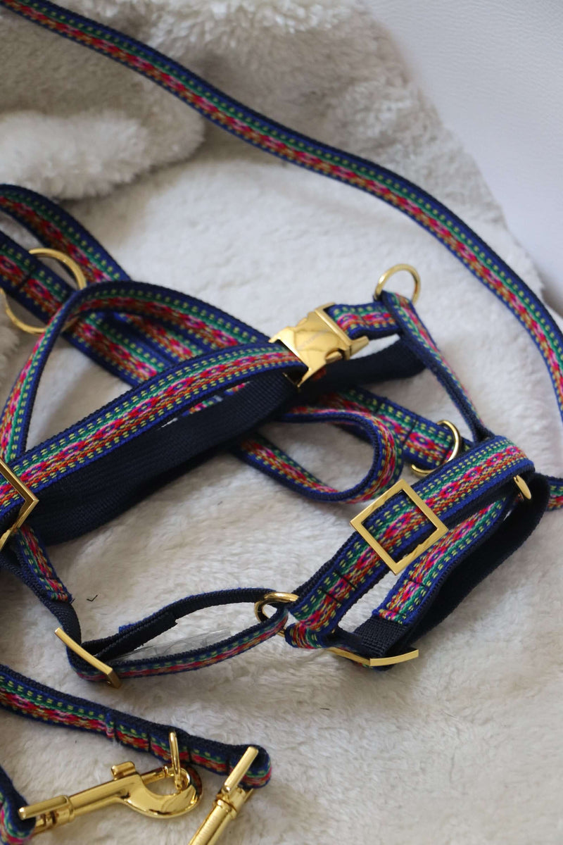 Dog harness IBIZA blue