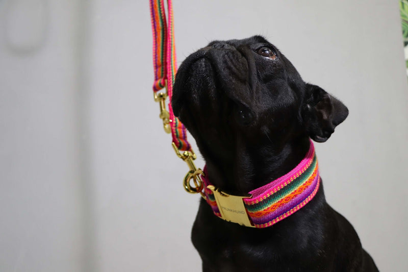 Collar IBIZA pink