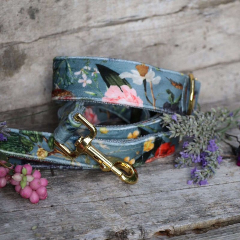 EDEN DUSK collar