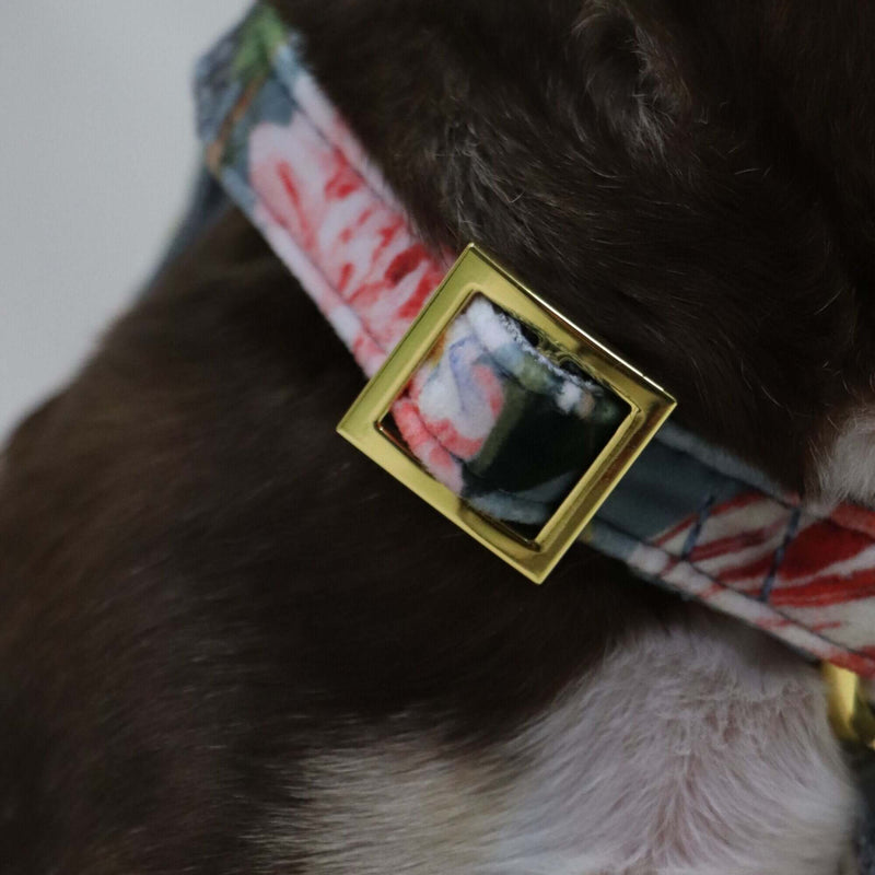 Dog harness EDEN DUSK