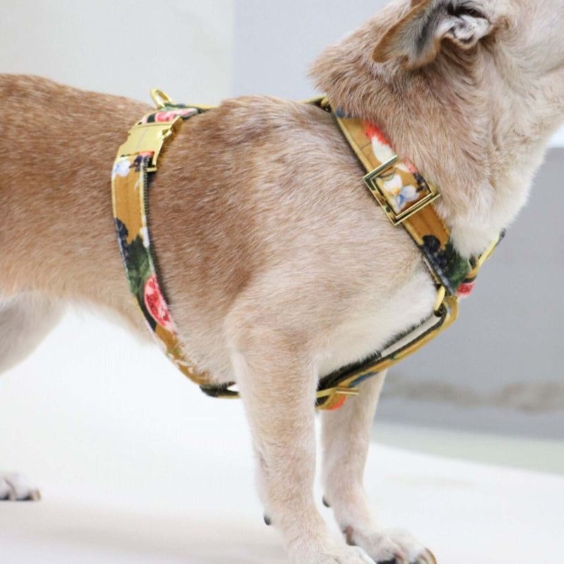 Hundegeschirr EDEN DAY