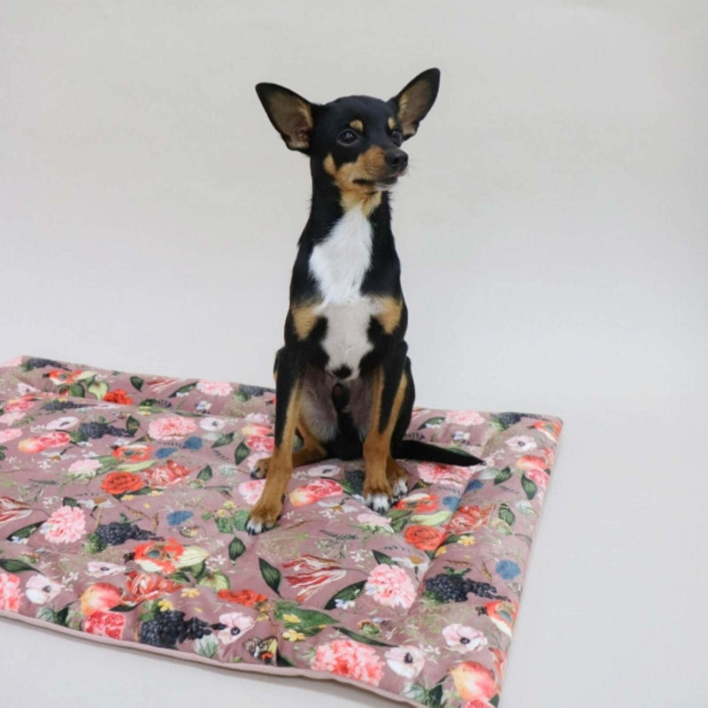 Dog blanket EDEN DAWN