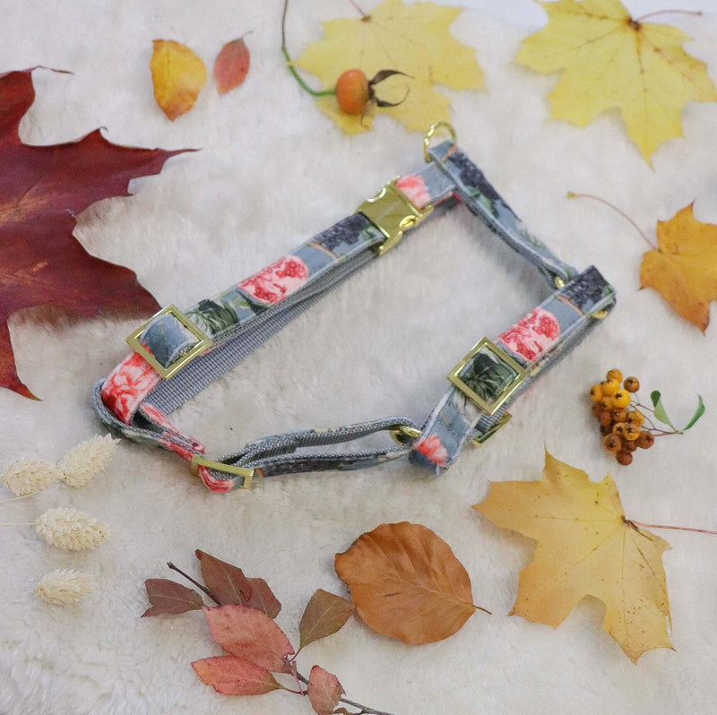 Dog harness EDEN DUSK