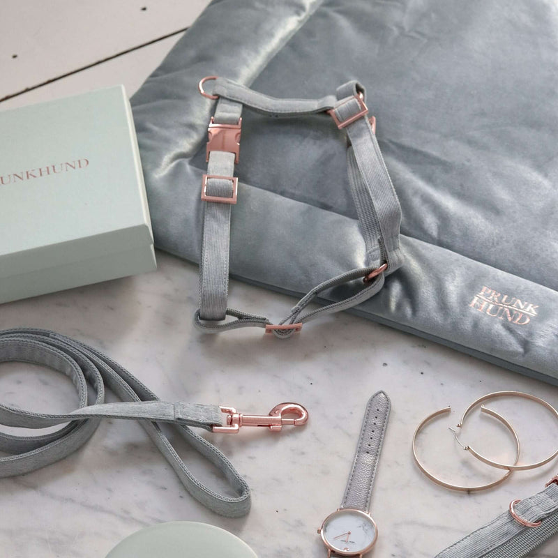 Dog harness DOVE