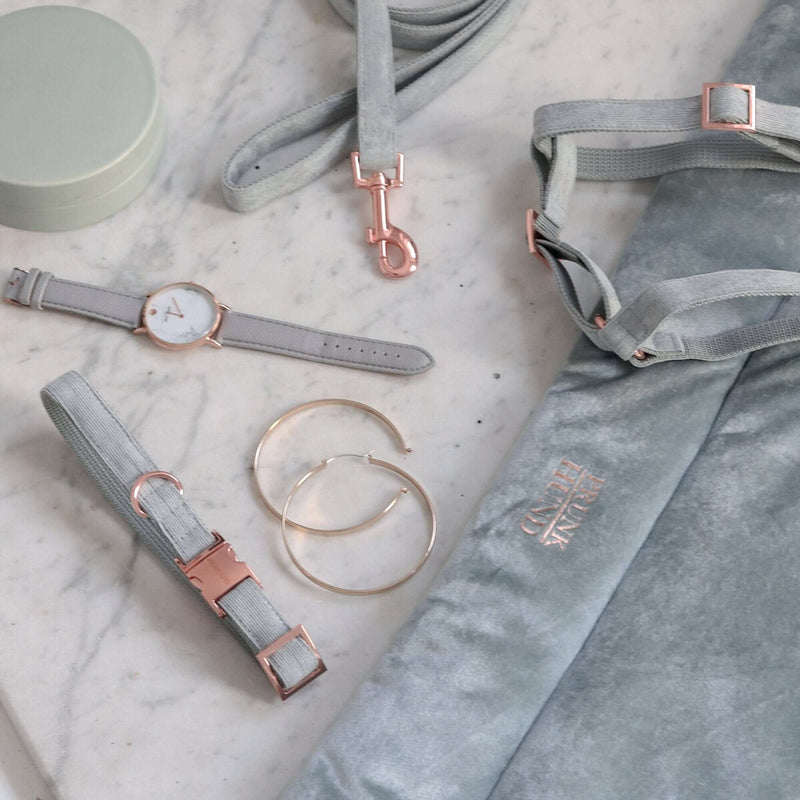 Halsband DOVE