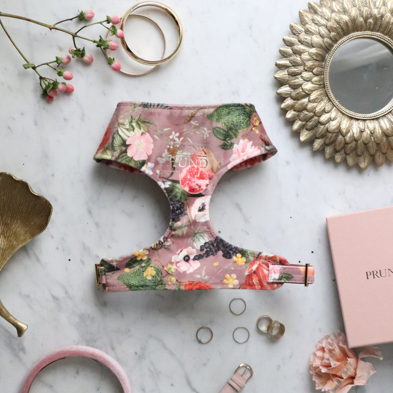 EDEN DAWN soft harness