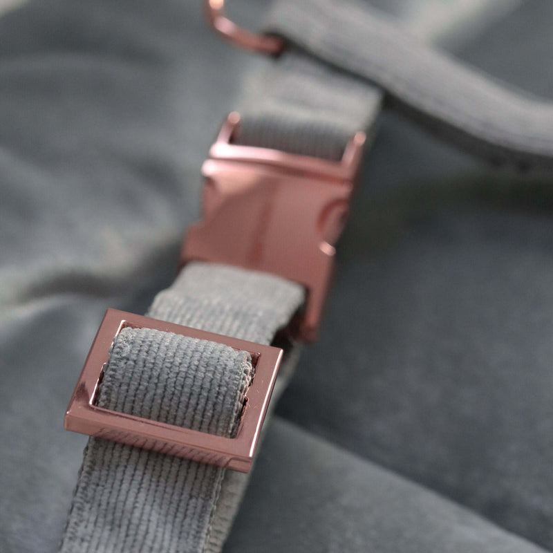 Dog harness DOVE
