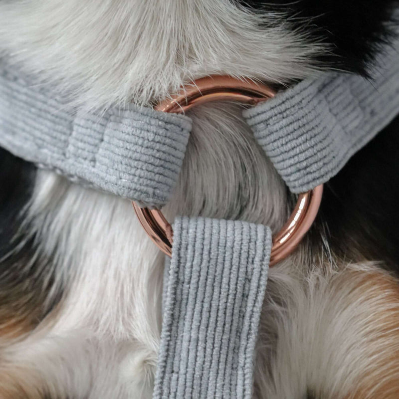 Dog harness DOVE