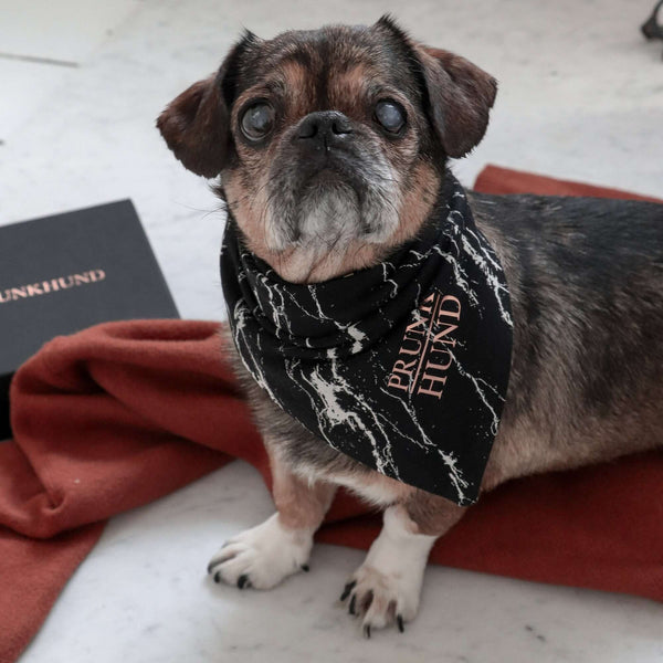 Dog bandana MARBLE BLACK