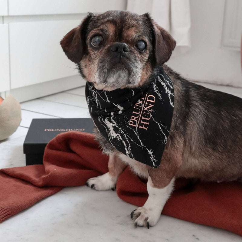 Hundehalstuch MARBLE BLACK