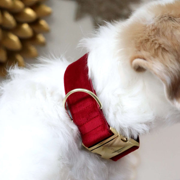 SANTA BABY collar