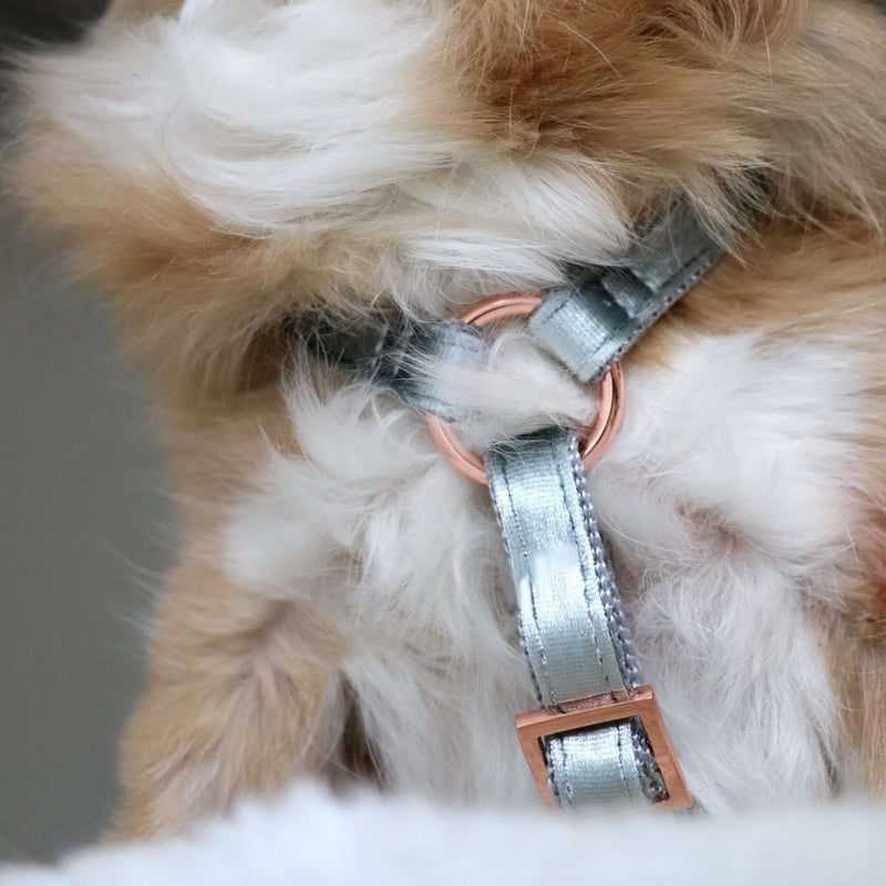 Dog harness MOON SHADOW