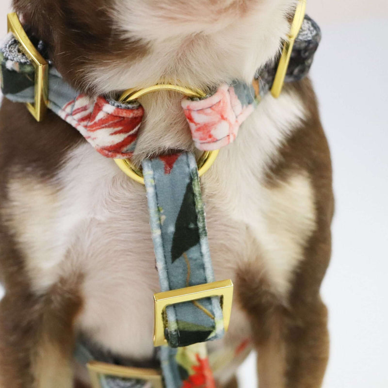 Dog harness EDEN DUSK