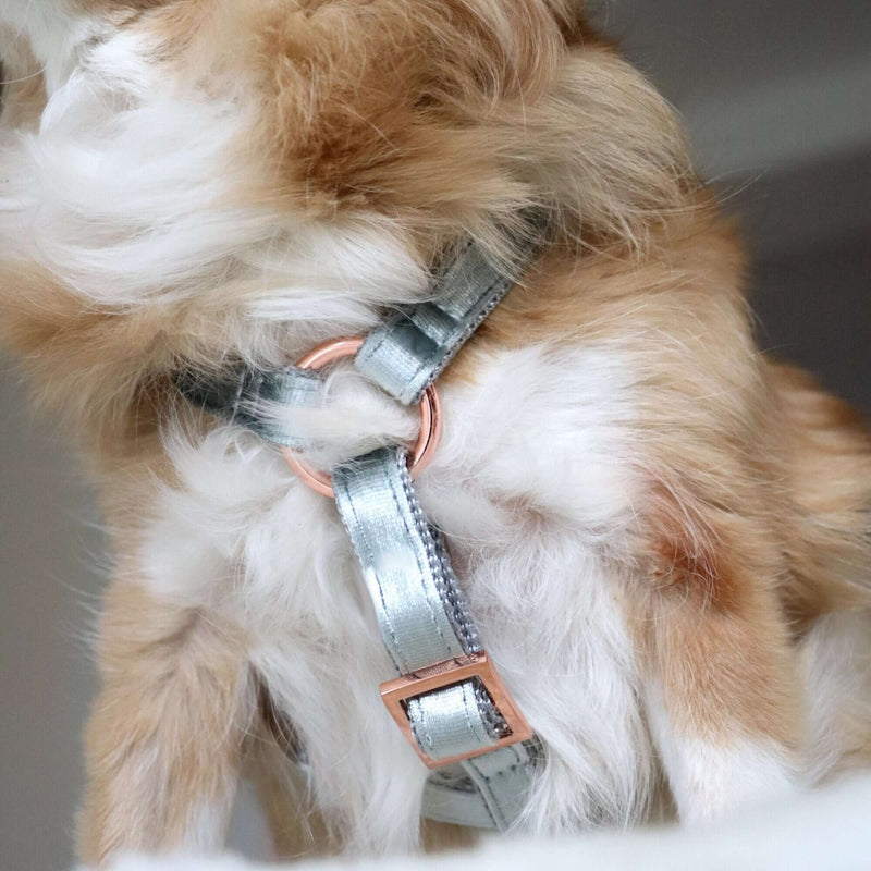 Dog harness MOON SHADOW