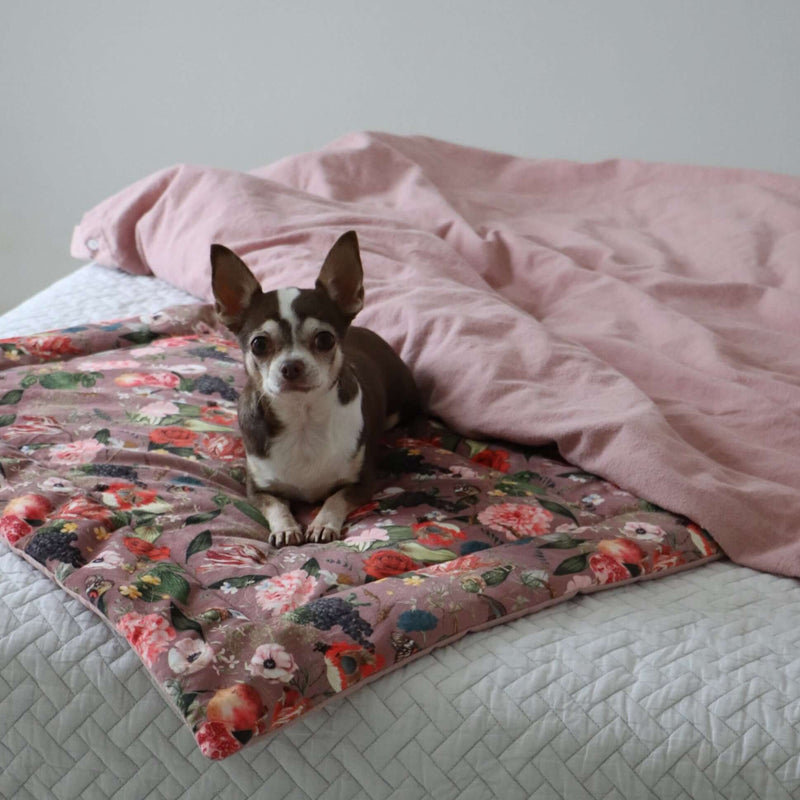 Dog blanket EDEN DAWN