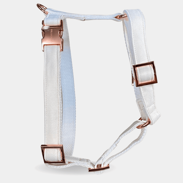 COCONUT dog harness