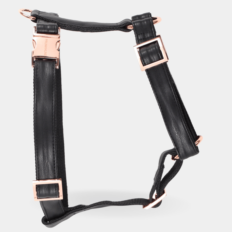Dog harness ECLIPSE