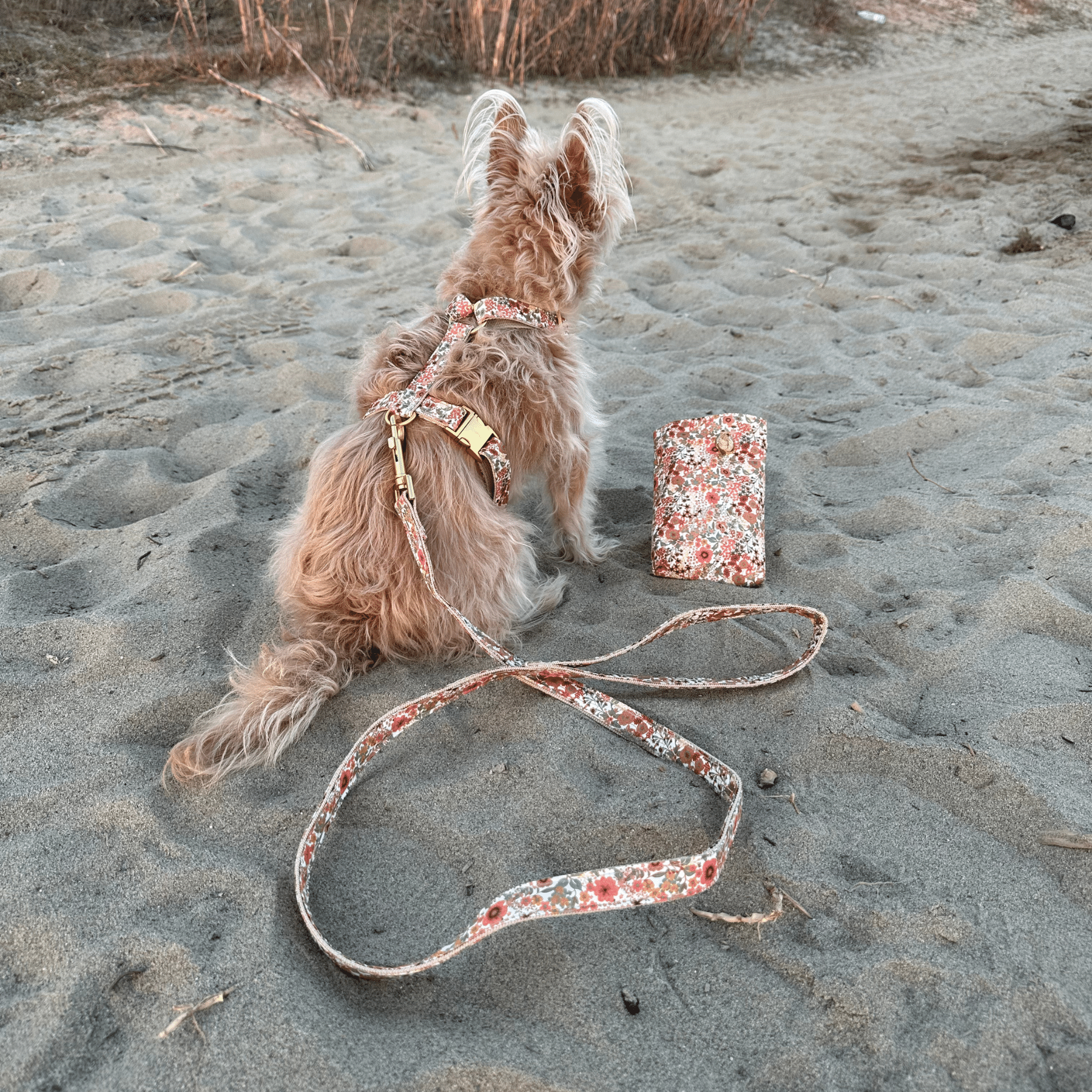FIORE treat bag