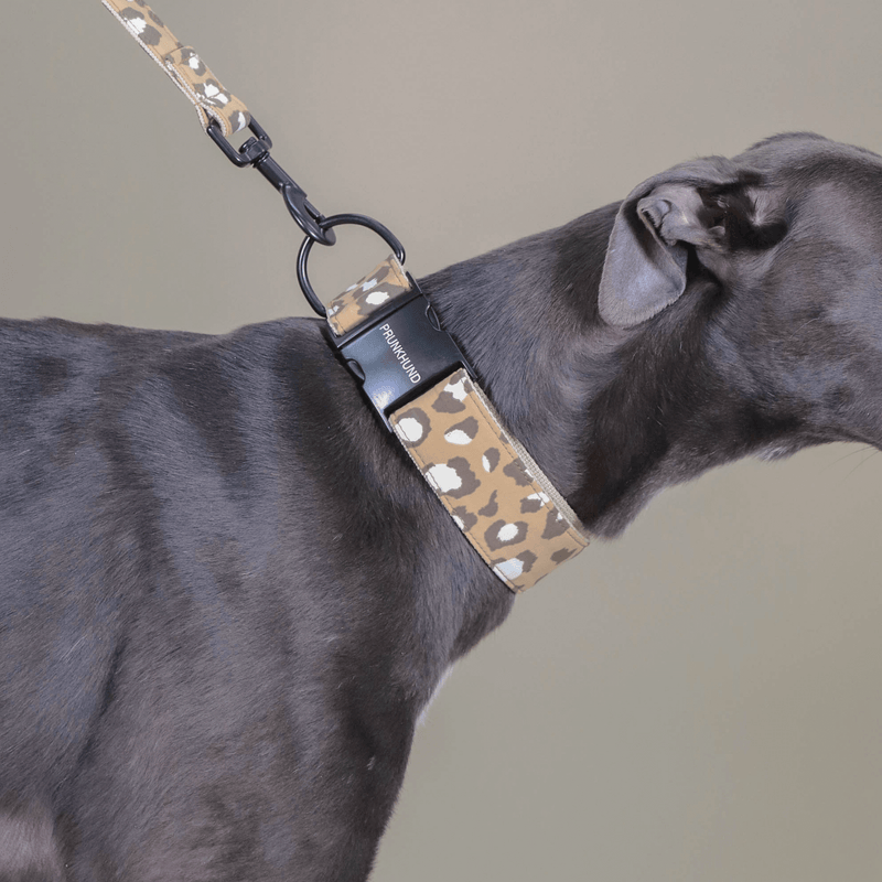 Halsband ROAR