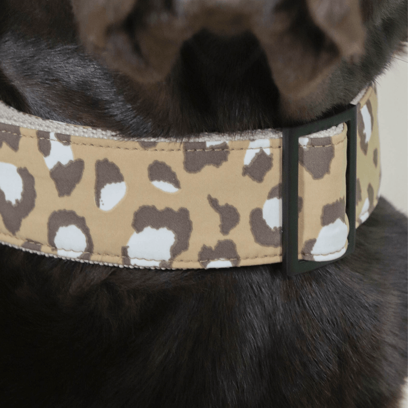 Halsband ROAR
